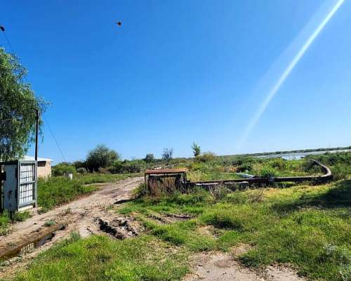 Vendo 1100 Ha la Dormida Agrícolas con Riego