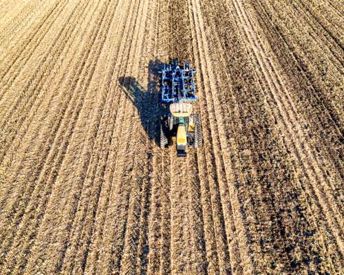 Campo Agricola en Venta de 125 Ha en Carcarañá