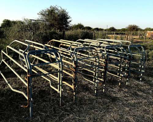 Maternidad para Cerdos - Termoplast