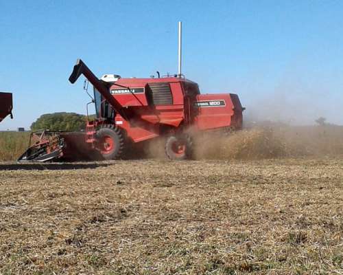 Vassalli 1200, 23 P, 10 Surcos (arveja)