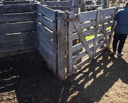 San Javier - Santa FE - Ruta 1 - 1500 Has Ganaderas