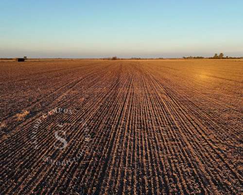 Campo Agrícola. 37 Hectáreas. Humboldt, Santa FE.