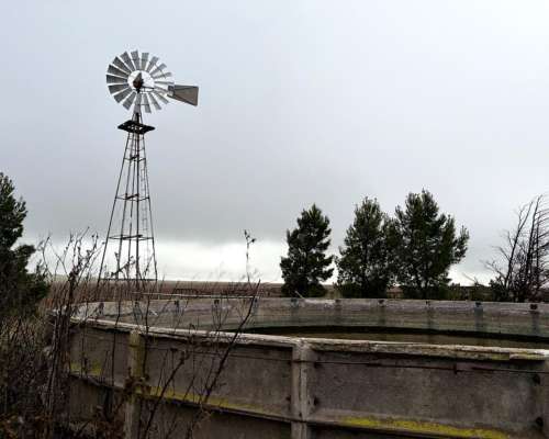 220 Ha Cabildo, Tornquist