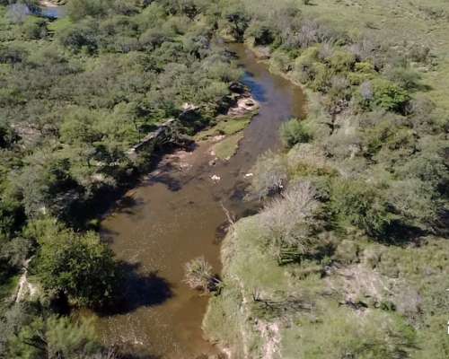 Alquiler Campo Ganadero de 92,56 Ha en Grutly