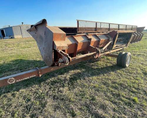 Girasolero Mainero de 10 a 70 cm