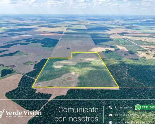 105 Has en Venta - Pcia del Chaco, Campo Largo