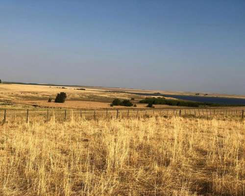 260 Has de Campo Mixto Estomba