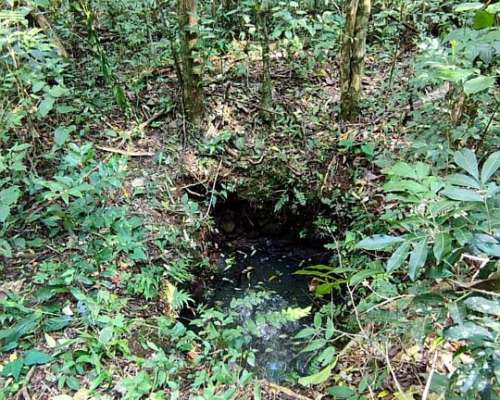 Chacra 25ha Arroyo del Medio - LUZ e Internet Agua de Vérti