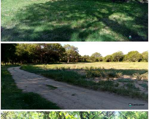 Venta de Campo Mixto con Casa 70 Hectáreas Canal de Riego