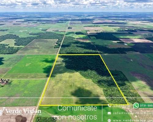 50 Has en Venta - Pcia del Chaco, las Breñas