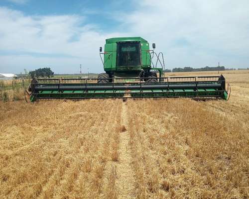 Plataforma Case Modelo 2020