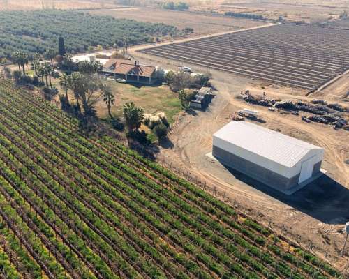 Vendo Finca Olivicola-vitivinicola y Fabrica de Aceite de O.