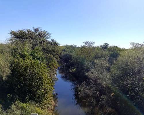 Campo 74 Ha – Pilar, Santa FE – Apto Tambo y Ganadería