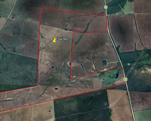 Campo 254 Heectareas Agricolas