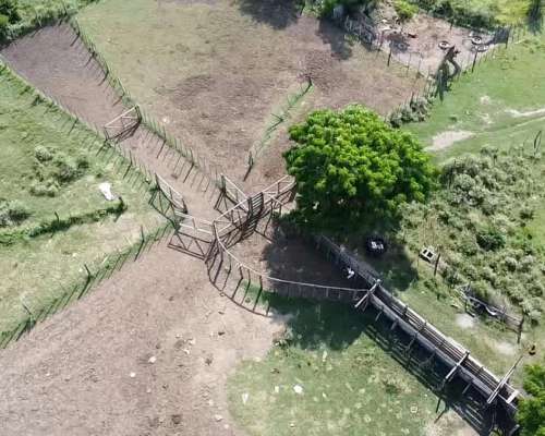 Venta / Campo Ganadero / Huanqueros / 1385 Ha