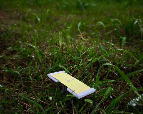 Soporte para Tarjetas Hidrosensibles de Fumigación