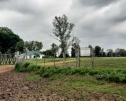 Campo Estancia de 10500 Hectáreas