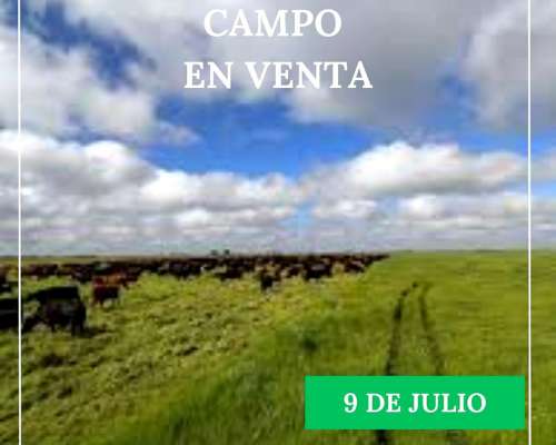 Campo 9 de Julio 880 Has