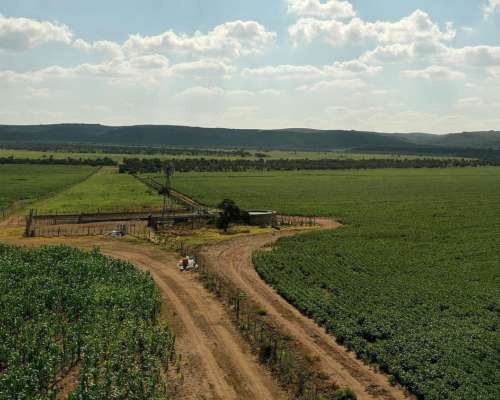 San Pedro Norte, Córdoba - 3068 Ha