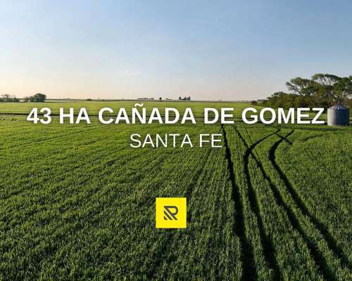 43ha Cañada de Gomez