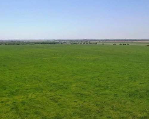 Villa María, Córdoba - 532 Ha
