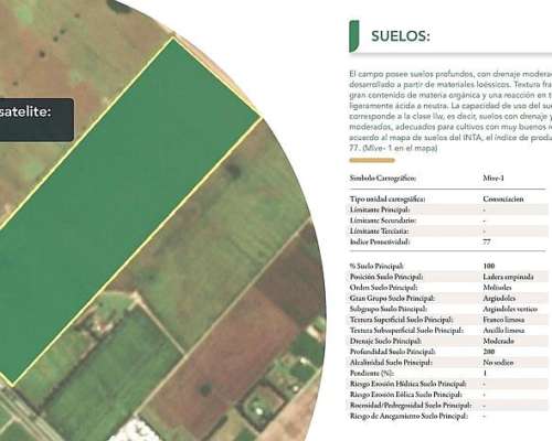 Campo 90 Has en Pavon, Santa FE 🌻🐄☘️