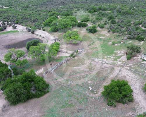Campo Mixto en Venta- 3.068 Ha en San Pedro Norte, Córdoba