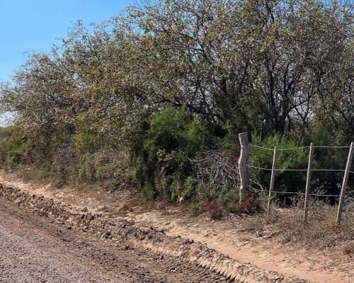 Vendo Campo en Colonia Dora 56 Has Santiago del Estero