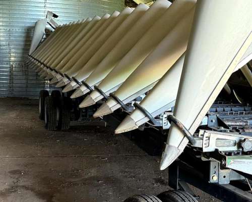 Maicero Premium de 18 a 52,5 - año 2020