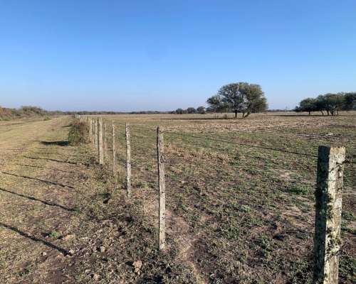Campo a la Venta Ambrosetti - Dpto San Cristóbal - Santa FE