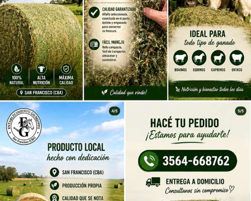 Rollos Alfalfa Calidad Certificada
