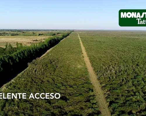 La Escandinava / Mendoza - 1000 Has.