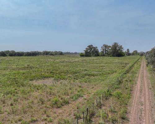 Pcia. de Buenos Aires - Pilar 18 Has