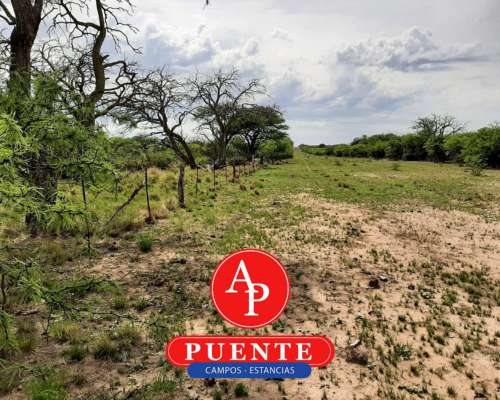 En Venta 2600 HA. Carro Quemado, la Pampa