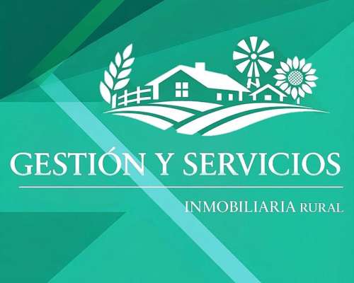 Campo a la Venta SUR de la Provincia de Córdoba.