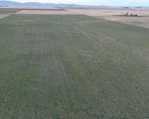 285 Hectareas Bahia Blanca