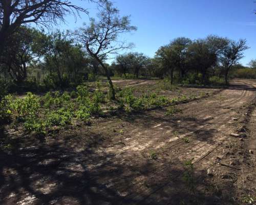 Campo Ganadero Apto Feedlot, 94 HA, Villa de Soto, Córdoba