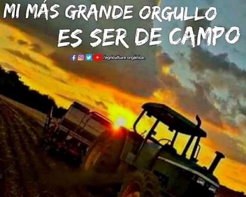 Estoy Buscando Trabajo SOY Solo sin Familia