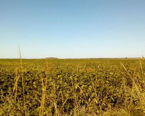 Bañado de Ovanta Oportunidad 437 Hectareas Agricolas S/ruta