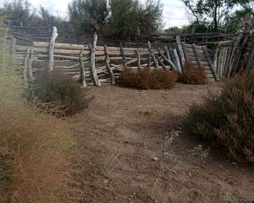 Vendo Campo 4000 Has Ubicado en Montecaseros San Martin MZA