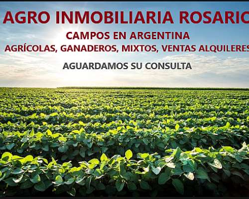 Santiago del Estero Fernandez 650 Hect Agric