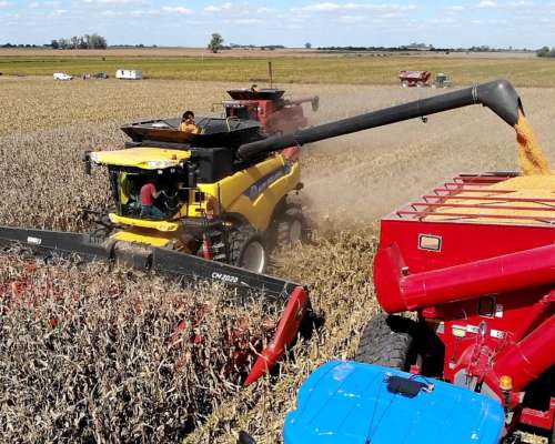 Cabezal Maicero cm 2020 de 18 Surc a 52 con Embocador, con