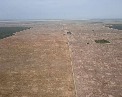 1438 Has-agricolas-depto. Aguirre (sgo del Estero)