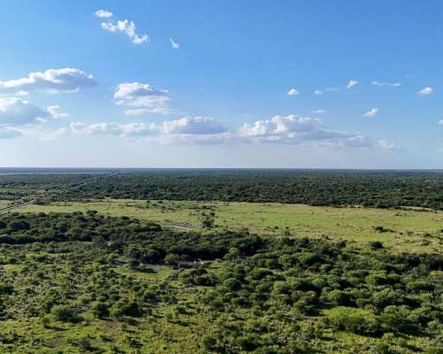 525 Hectáreas Ganaderas, Tartagal, Santa FE