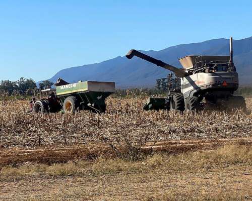 Gleaner a 85 Challenger 680 MF 9895