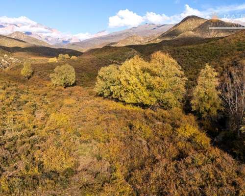 200 Has. Finca en los Arboles, Mendoza