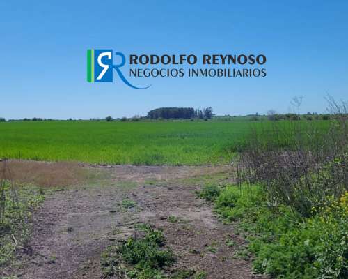 136 Ha en Dpto. Uruguay - Entre Ríos