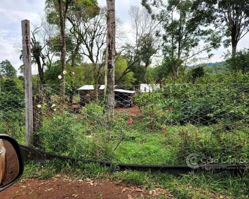 Se Vende Campo Ganadero de 150ha en Colonia Delicia, Eldorad