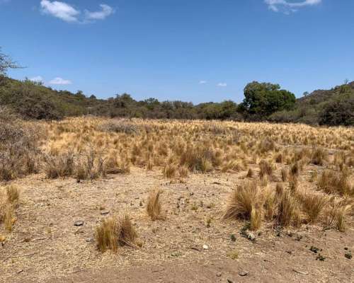 3000 Has. Aptitud Ganadero a Desarrollar en Rumiaco