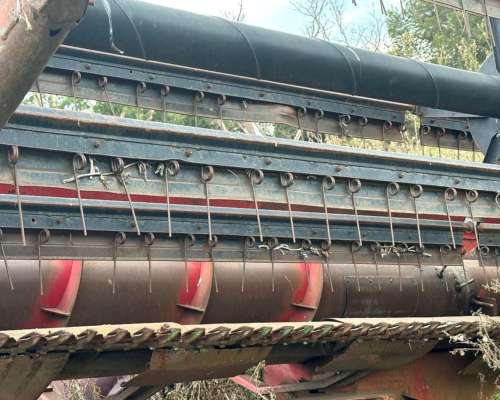 Marani Especial 2001. año 1998.